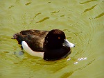 20070323 04.jpg